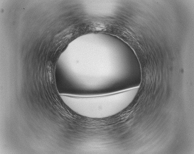 X0000088421442200705220825