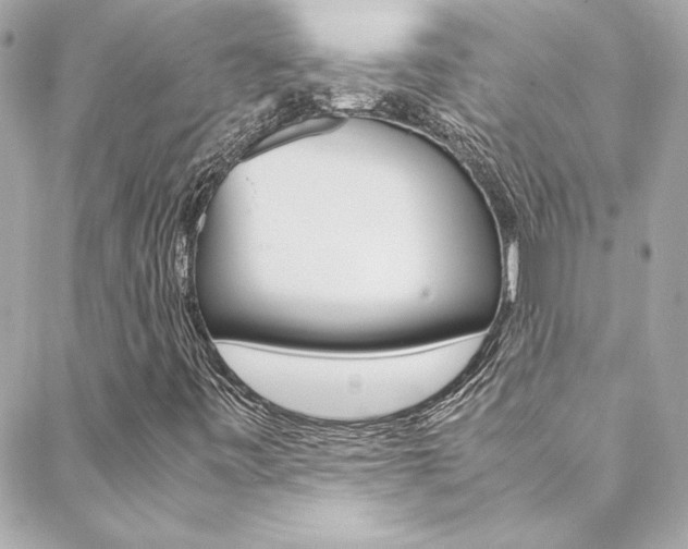 X0000088421443200705220825