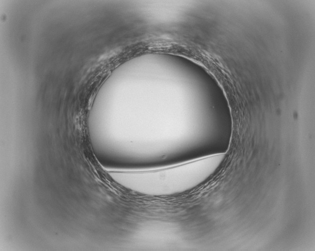 X0000088421445200705220825