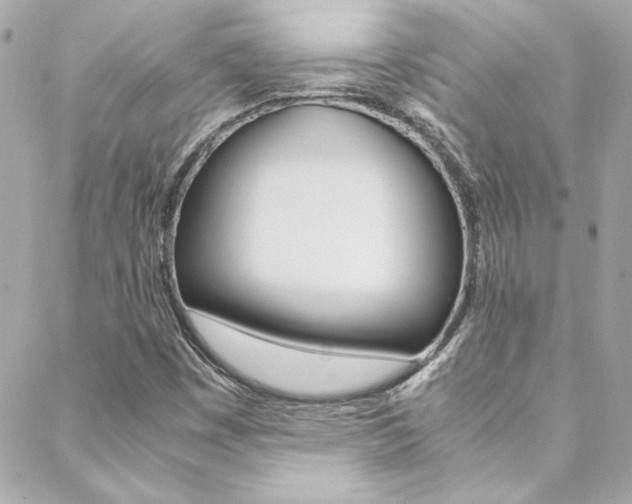 X0000088421449200705220825