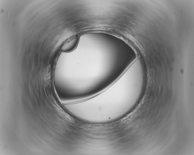 X0000088421450200705220825