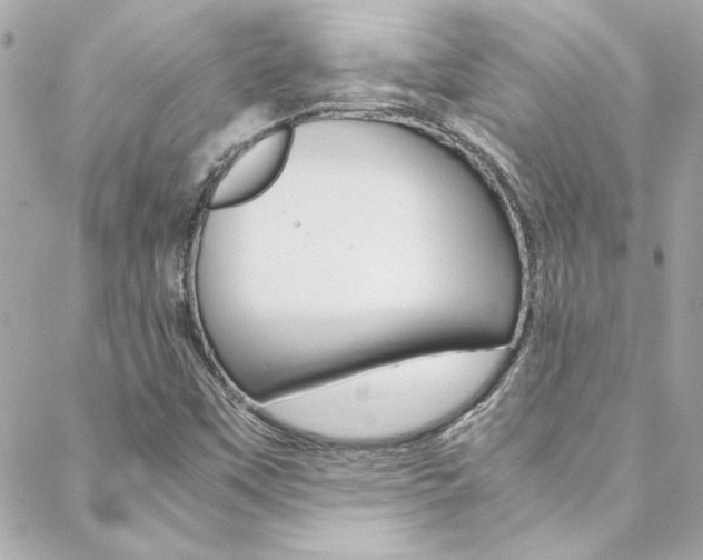 X0000088421451200705220825