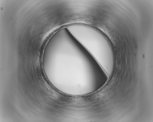 X0000088421452200705220825
