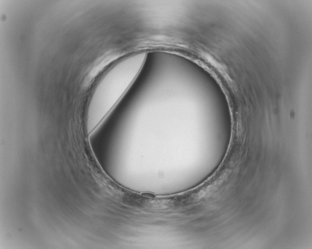 X0000088421453200705220825