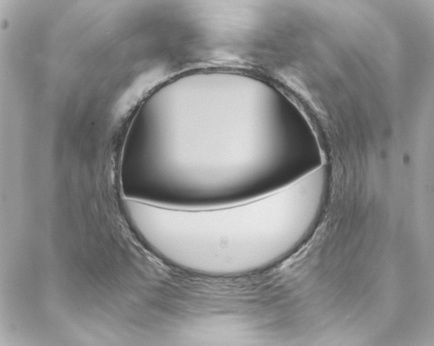 X0000088421455200705220825