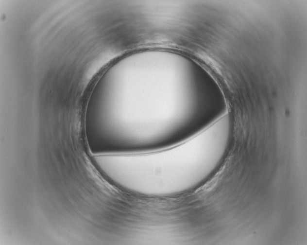 X0000088421458200705220825