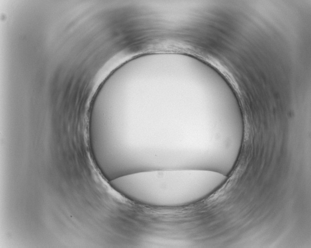 X0000088421486200705220824