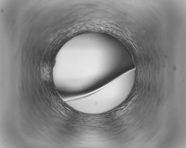 X0000088421490200705220824