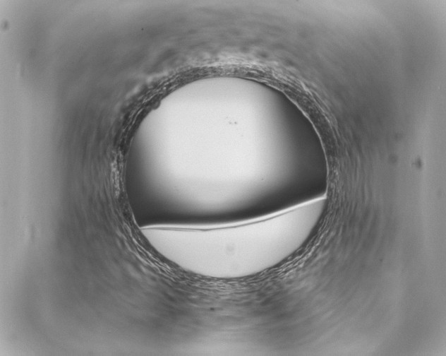 X0000088421493200705220824