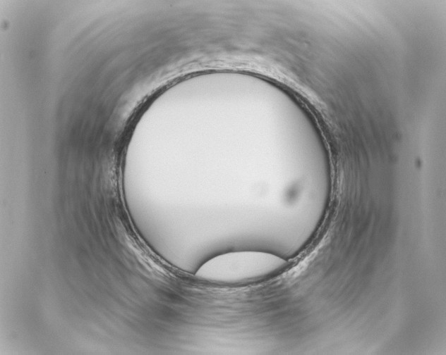 X0000088421498200705220824