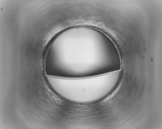 X0000088421501200705220824
