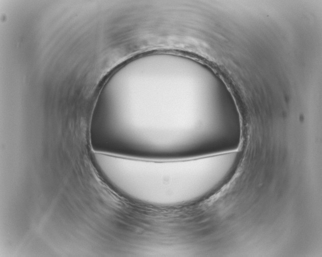 X0000088421505200705220824
