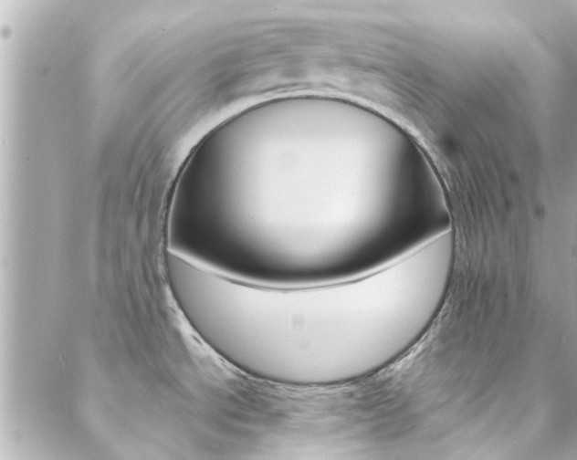 X0000088421534200705220824