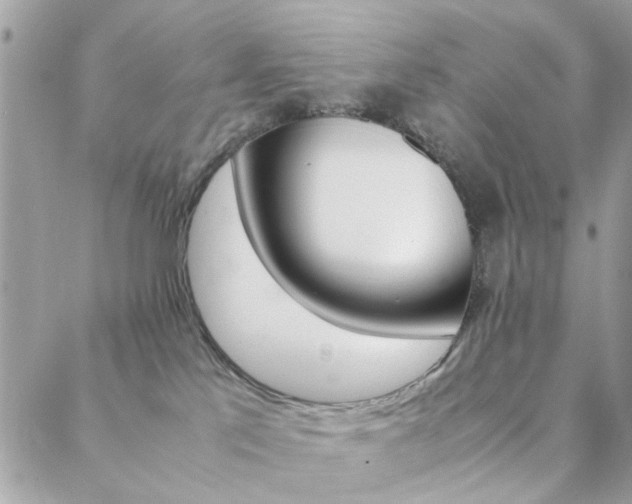 X0000088420041200705221233
