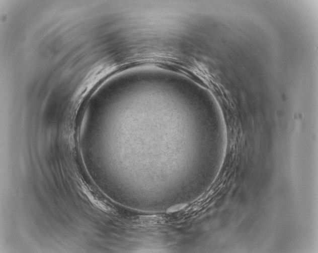 X0000088420050200705221232