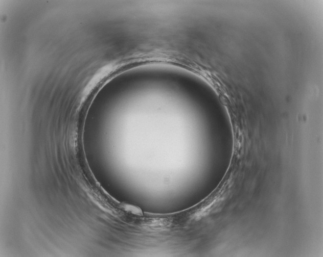 X0000088420056200705221232