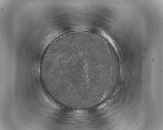 X0000088420059200705221232