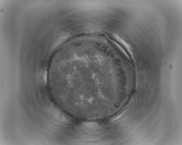 X0000088420067200705221232