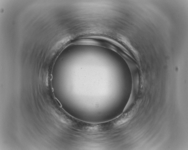 X0000088420068200705221232