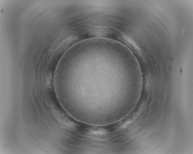 X0000088420073200705221233