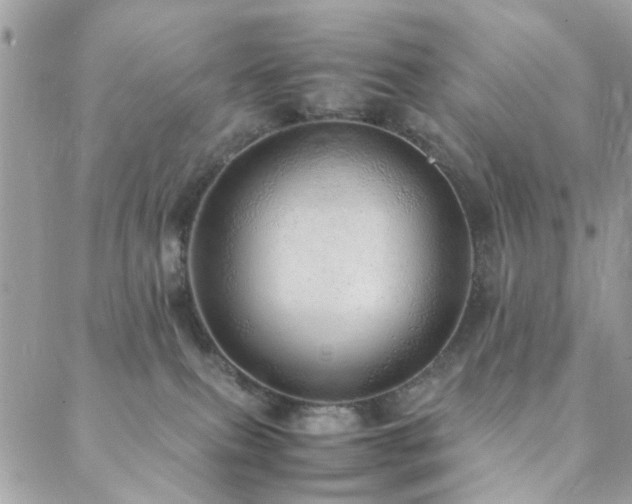 X0000088420087200705221233