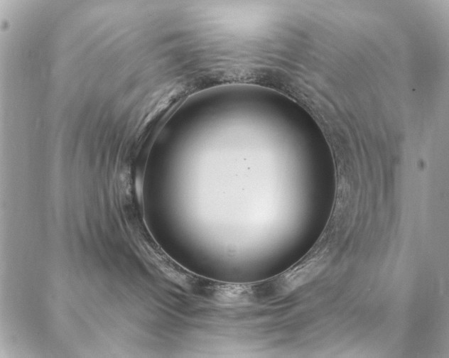 X0000088420096200705221233