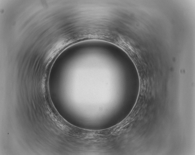 X0000088420098200705221232