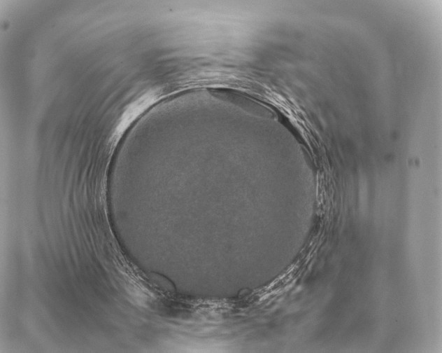 X0000088420099200705221232