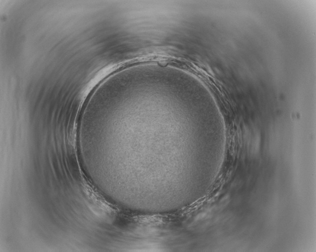 X0000088420100200705221232