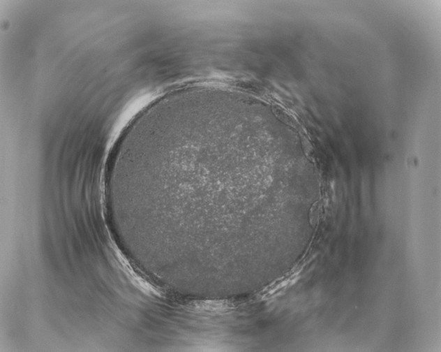 X0000088420102200705221232