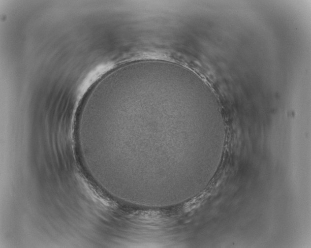 X0000088420104200705221232