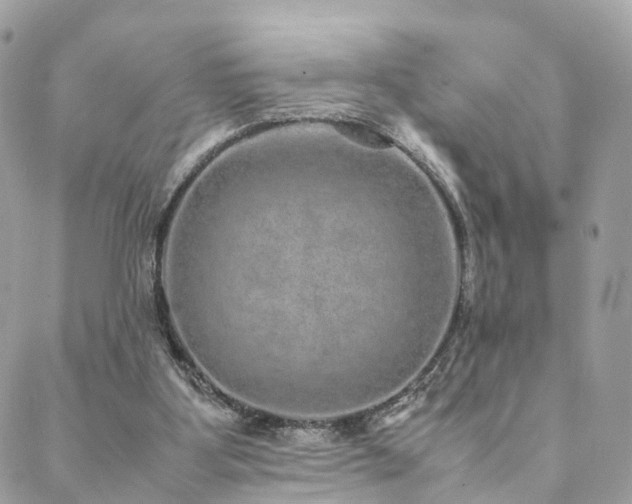 X0000088420107200705221232