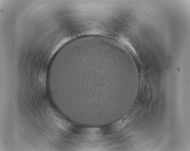 X0000088420108200705221232