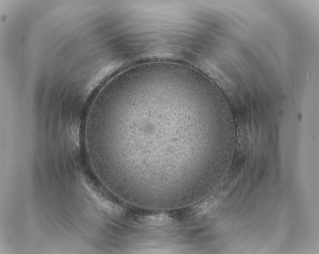 X0000088420112200705221232