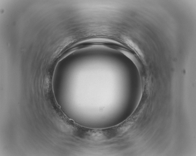 X0000088420113200705221232