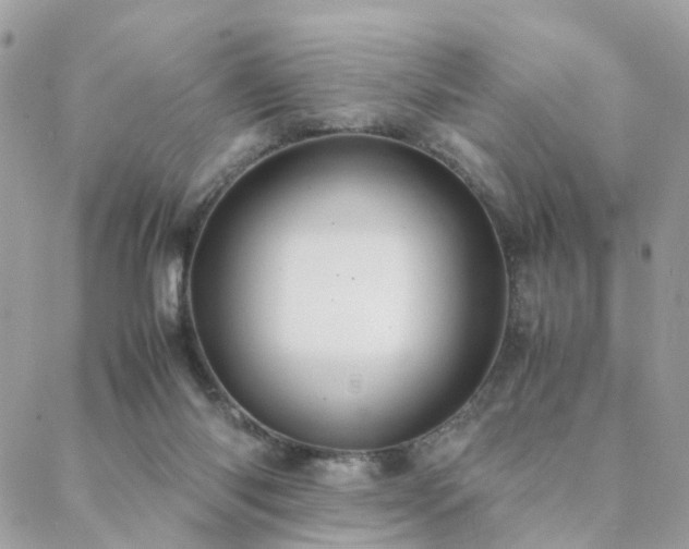 X0000088420118200705221232