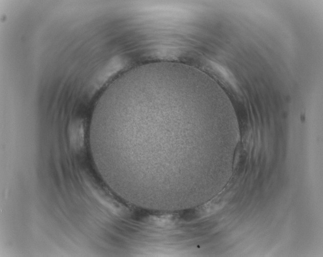 X0000088420120200705221232