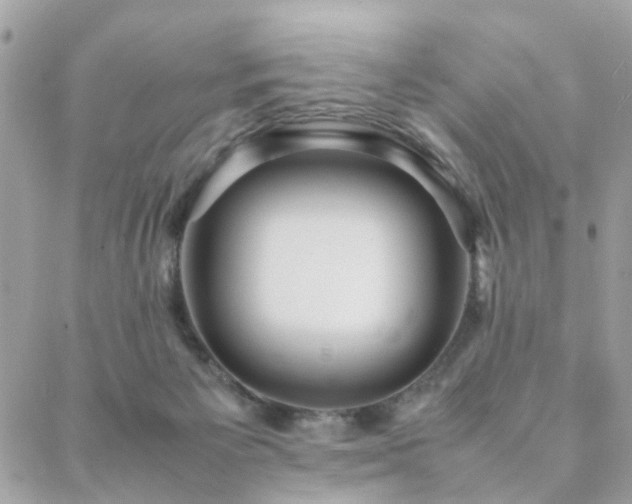 X0000088420125200705221232