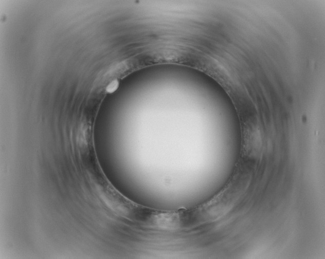 X0000088420126200705221232