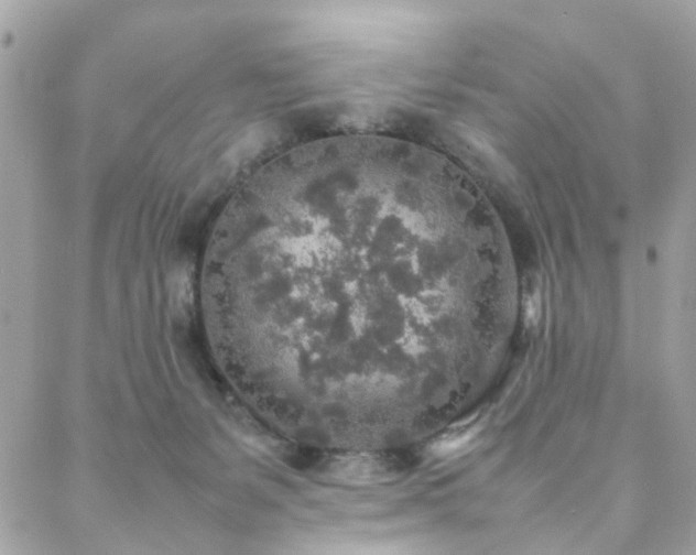 X0000088420127200705221232