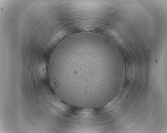 X0000088420128200705221232