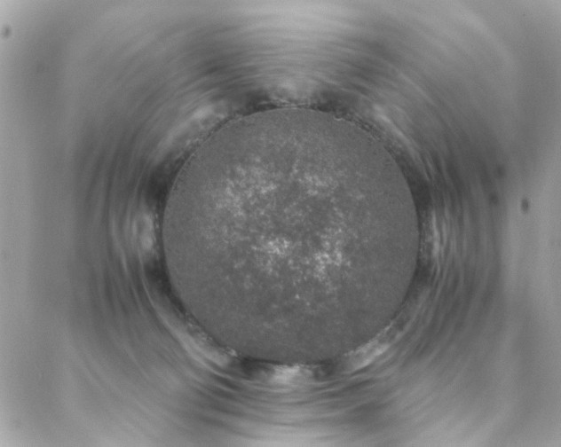 X0000088420130200705221232