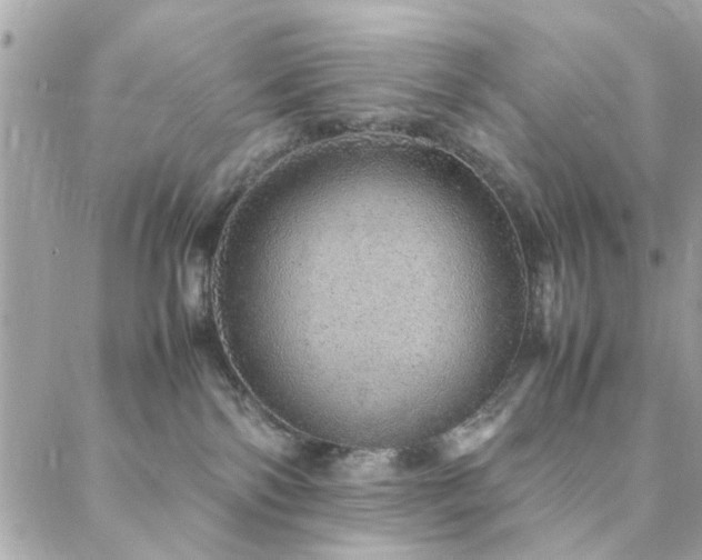 X0000088420138200705221231