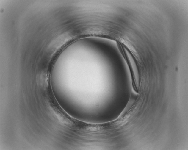 X0000088420160200705221231