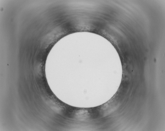 X0000088420162200705221231