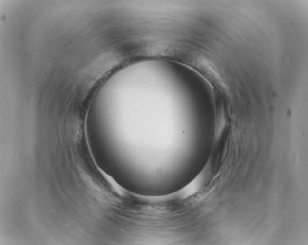 X0000088420164200705221231