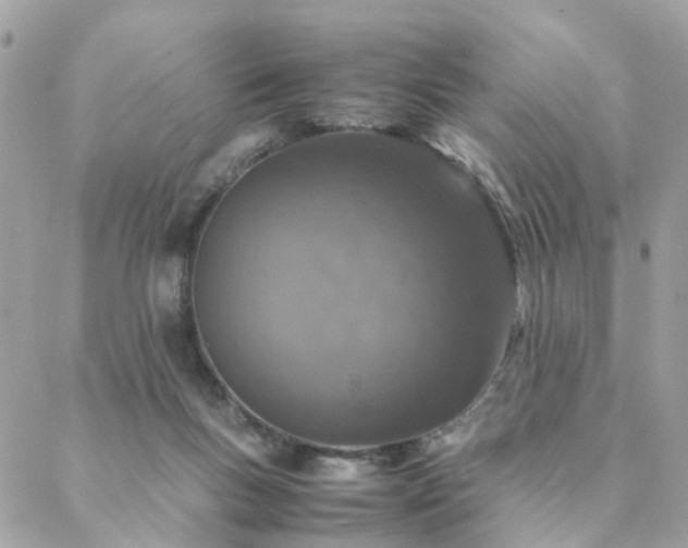 X0000088420167200705221231