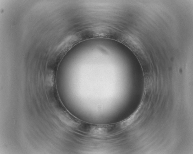 X0000088420174200705221231