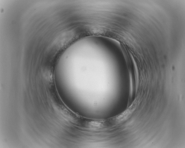 X0000088420176200705221231