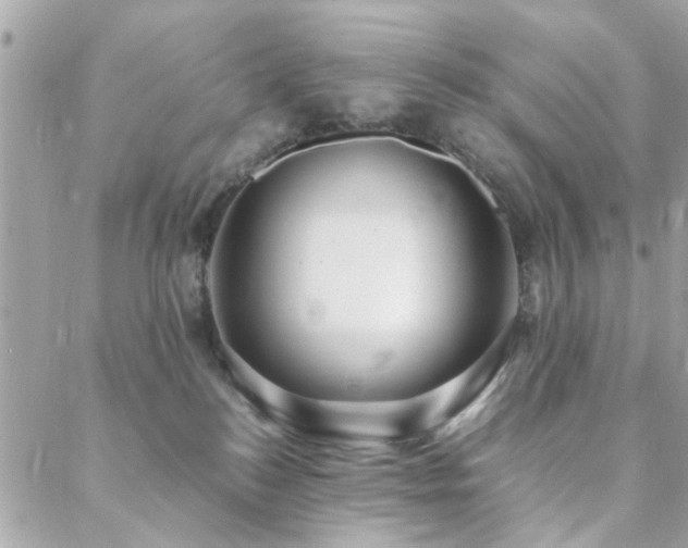 X0000088420184200705221231